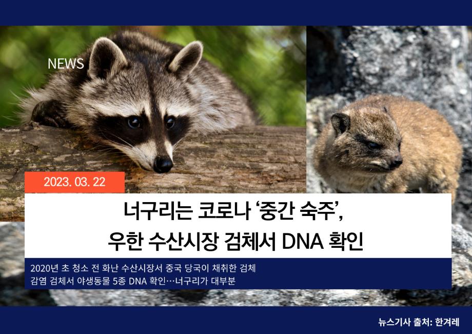 [한겨레] 너구리는 코로나 ‘중간 숙주’, 우한 수산시장 검체서 DNA 확인 이미지