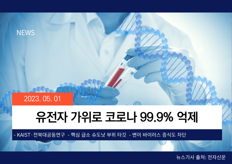 [전자신문] 유전자 가위로 코로나 99.9% 억제 이미지