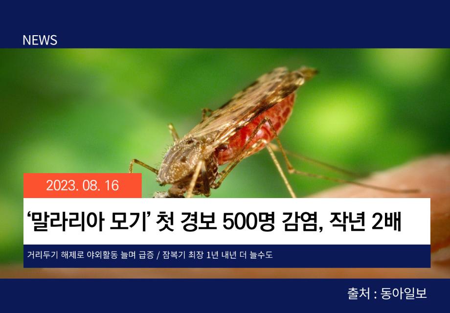 [동아일보] ‘말라리아 모기’ 첫 경보 500명 감염, 작년 2배 이미지