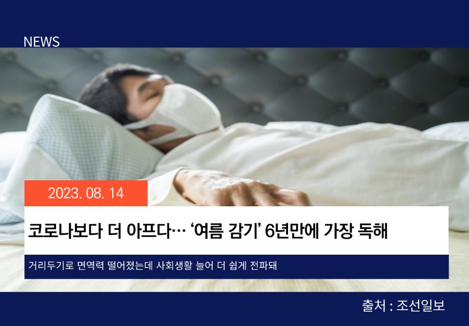 [조선일보] 코로나보다 더 아프다… ‘여름 감기’ 6년만에 가장 독해 이미지