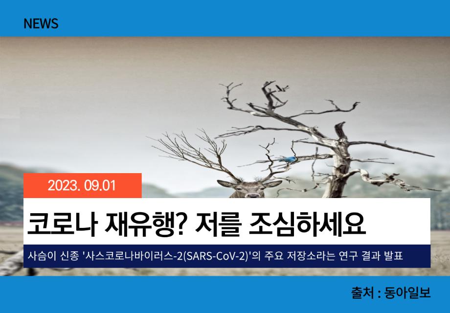 [동아일보] 코로나 재유행? 저를 조심하세요 이미지