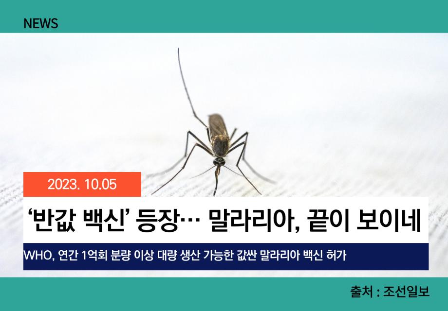 [조선일보] ‘반값 백신’ 등장… 말라리아, 끝이 보이네 이미지