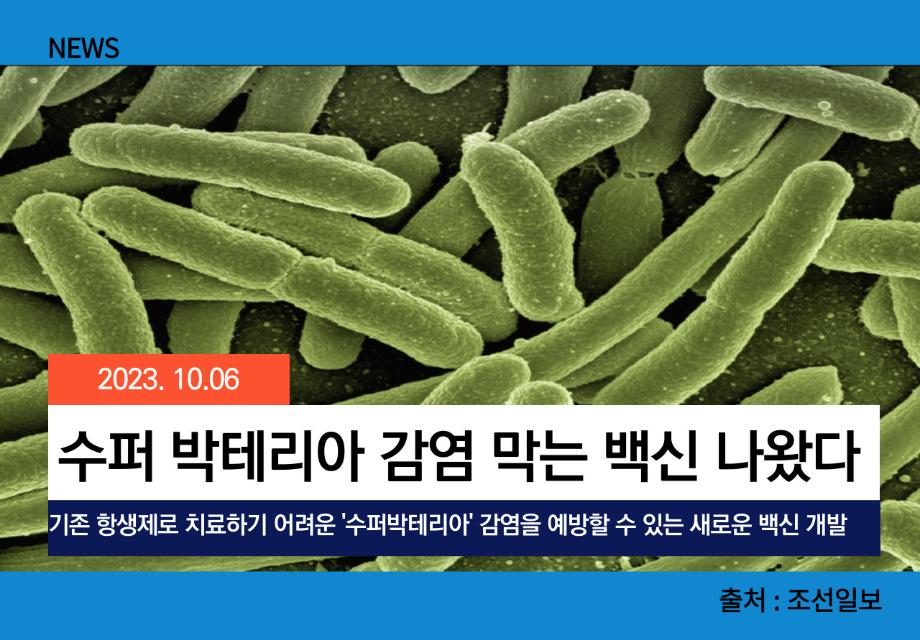 [조선일보] 수퍼 박테리아 감염 막는 백신 나왔다 이미지