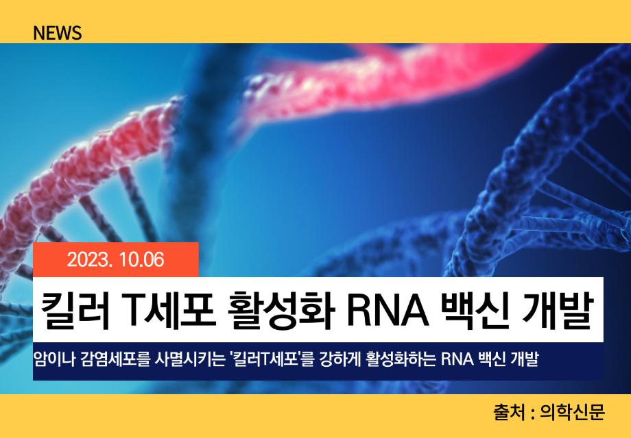 [의학신문] 킬러 T세포 활성화 RNA 백신 개발 이미지