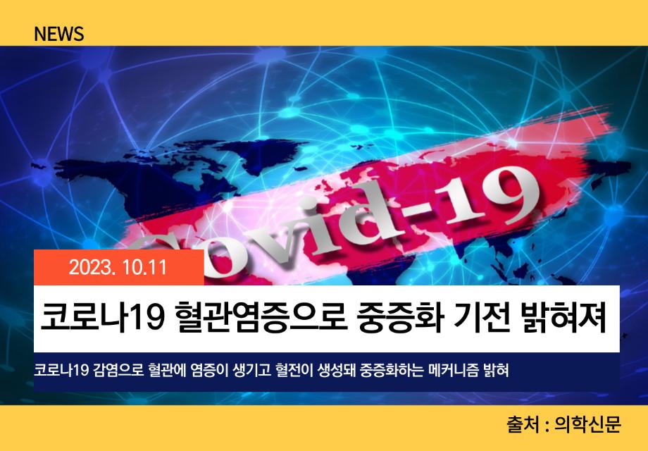 [의학신문] 코로나19 혈관염증으로 중증화 기전 밝혀져 이미지