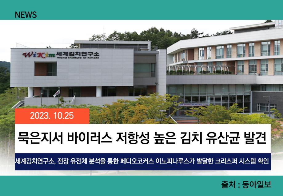 [동아일보] 묵은지서 바이러스 저항성 높은 김치 유산균 발견 이미지