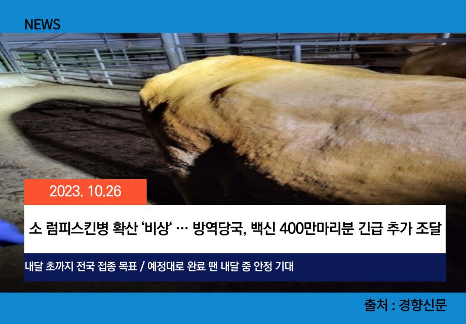 [경향신문] 소 럼피스킨병 확산 ‘비상‘ … 방역당국, 백신 400만마리분 긴급 추가 조달 이미지