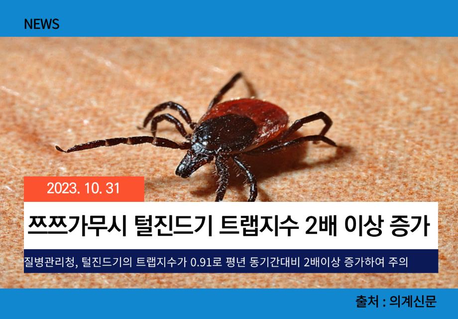 [의계신문] 쯔쯔가무시 털진드기 트랩지수 2배 이상 증가 이미지