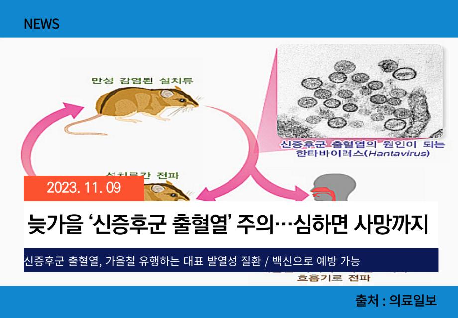 [의료일보] 늦가을 ‘신증후군 출혈열’ 주의…심하면 사망까지 이미지