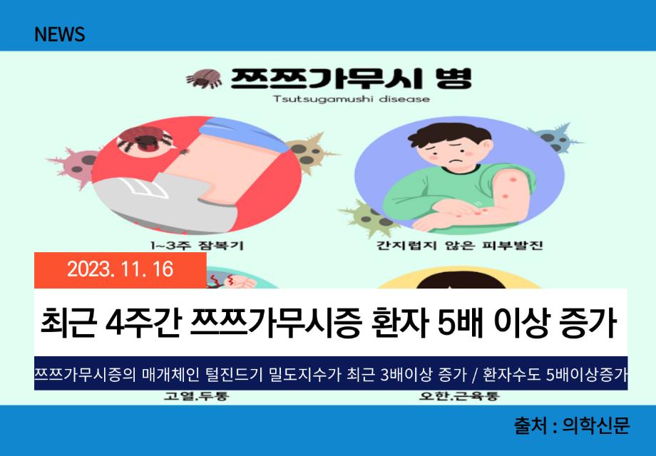 [의학신문] 최근 4주간 쯔쯔가무시증 환자 5배 이상 증가 이미지