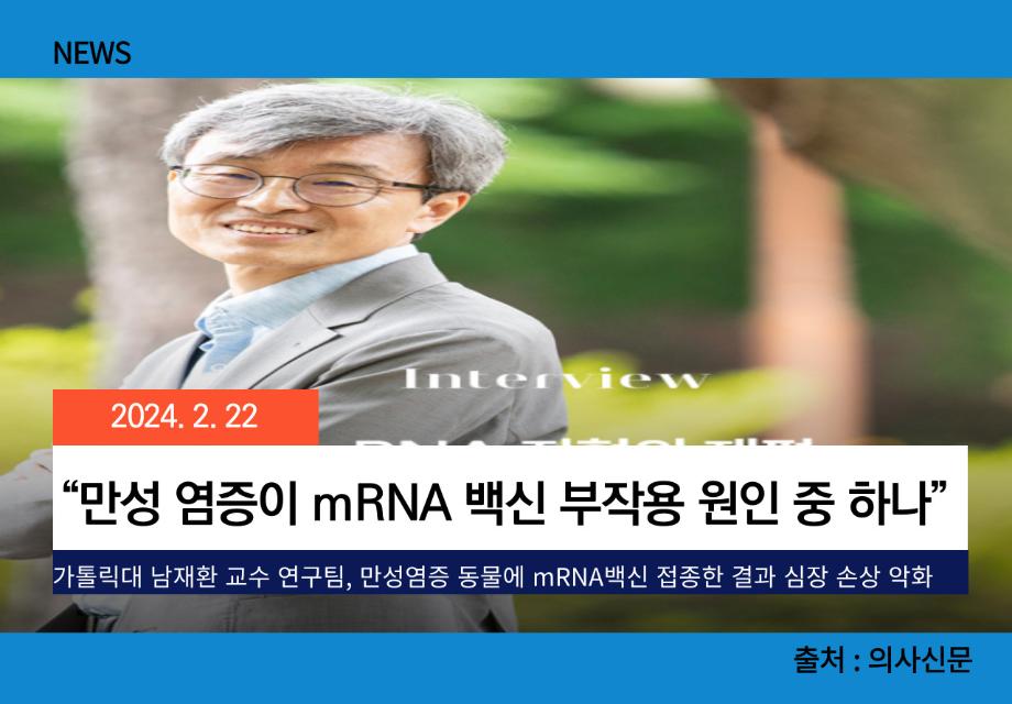 [의사신문] “만성 염증이 mRNA 백신 부작용 원인 중 하나” 이미지