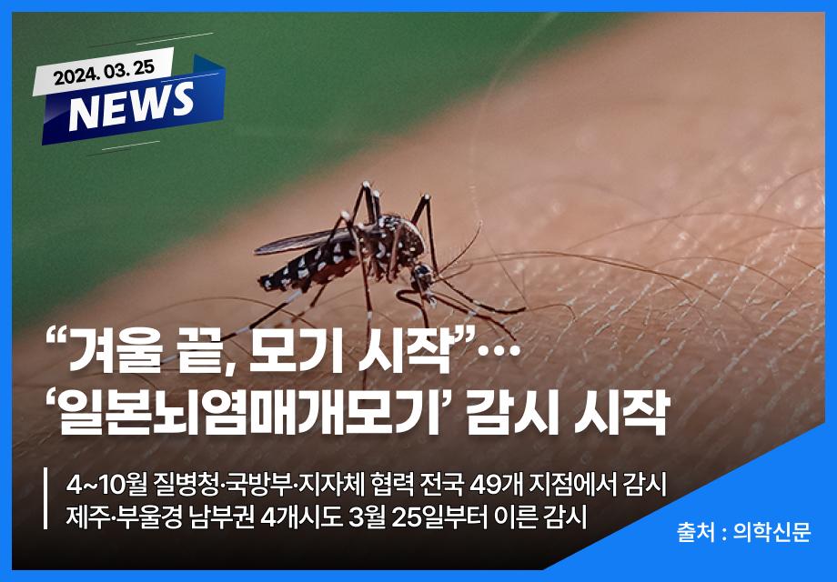 [의학신문] “겨울 끝, 모기 시작”…‘일본뇌염매개모기’ 감시 시작 이미지