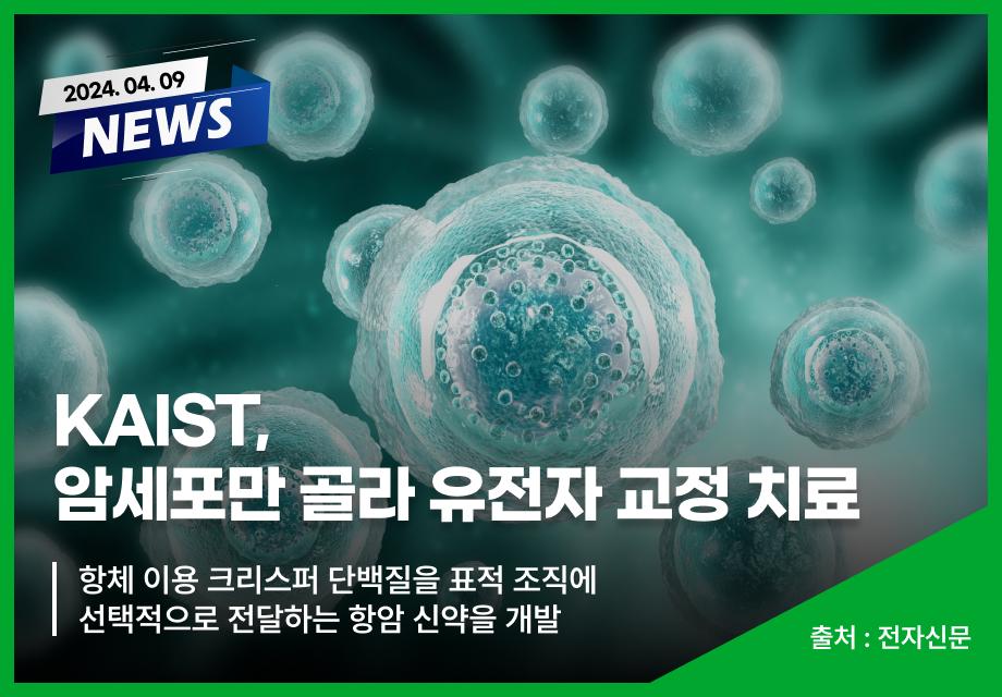 [전자신문] KAIST, 암세포만 골라 유전자 교정 치료 이미지