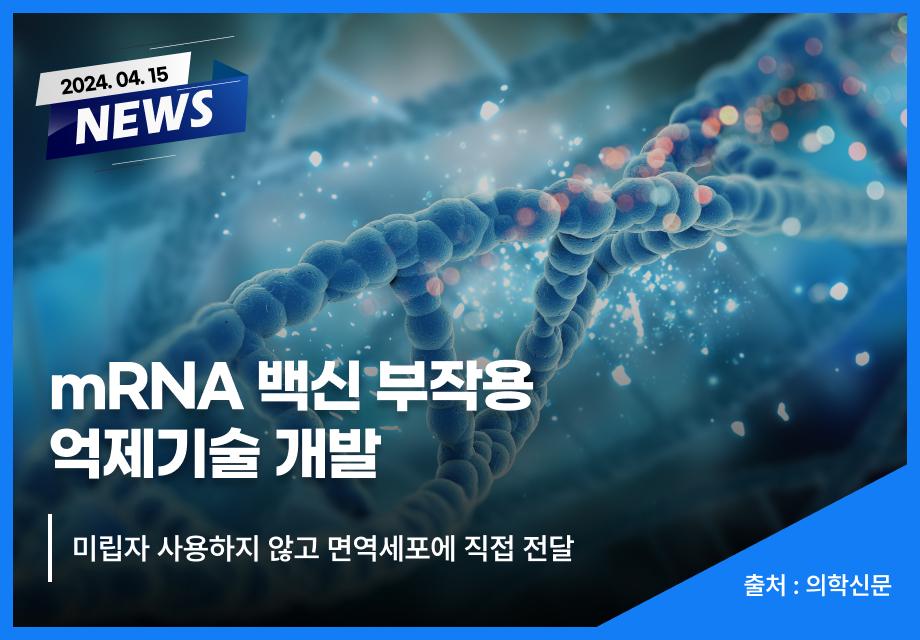 [의학신문] mRNA 백신 부작용 억제기술 개발 이미지