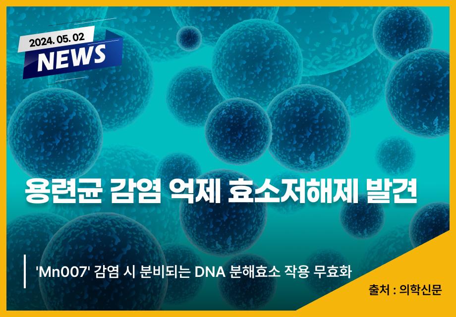 [의학신문] 용련균 감염 억제 효소저해제 발견 이미지