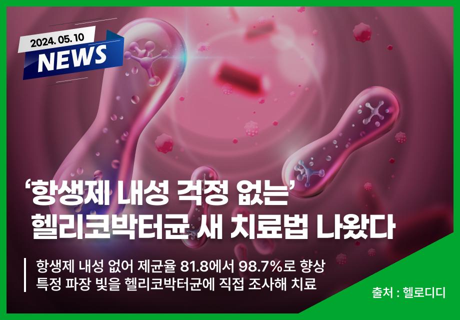 [헬로디디] '항생제 내성 걱정 없는' 헬리코박터균 새 치료법 나왔다 이미지