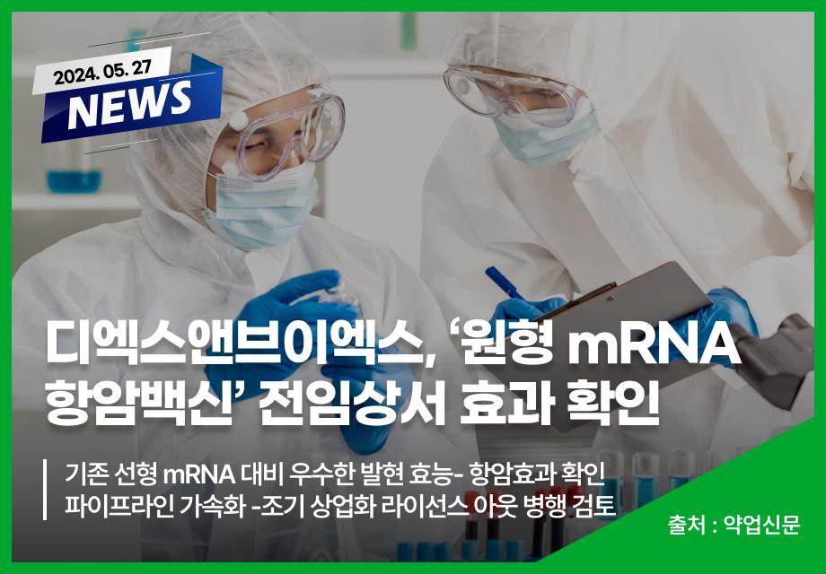 [약업신문] 디엑스앤브이엑스, ‘원형 mRNA 항암백신’ 전임상서 효과 확인 이미지