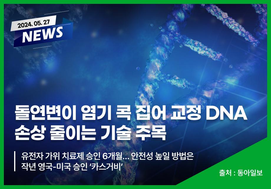 [동아일보] 돌연변이 염기 콕 집어 교정 DNA 손상 줄이는 기술 주목 이미지