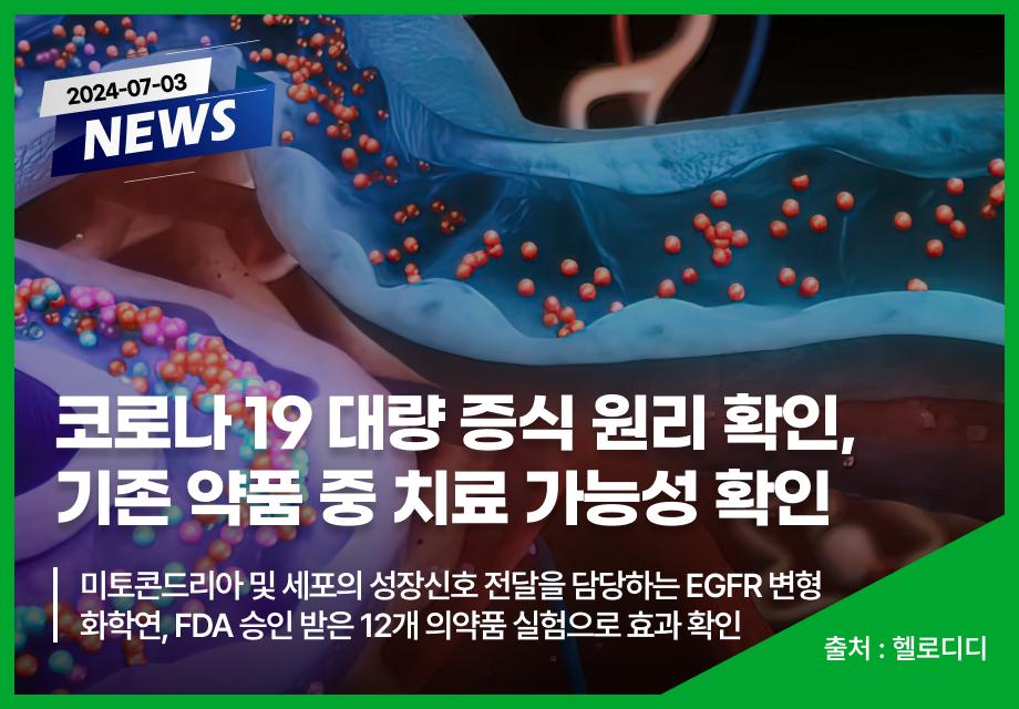 [헬로디디] 코로나 19 대량 증식 원리 확인, 기존 약품 중 치료 가능성 확인 이미지