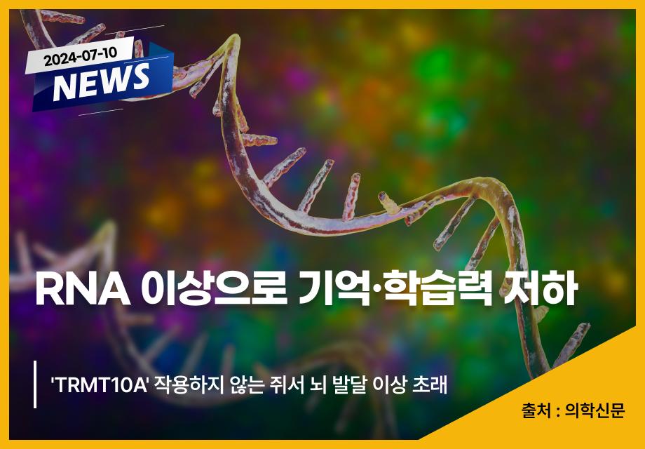 [의학신문] RNA 이상으로 기억·학습력 저하 이미지