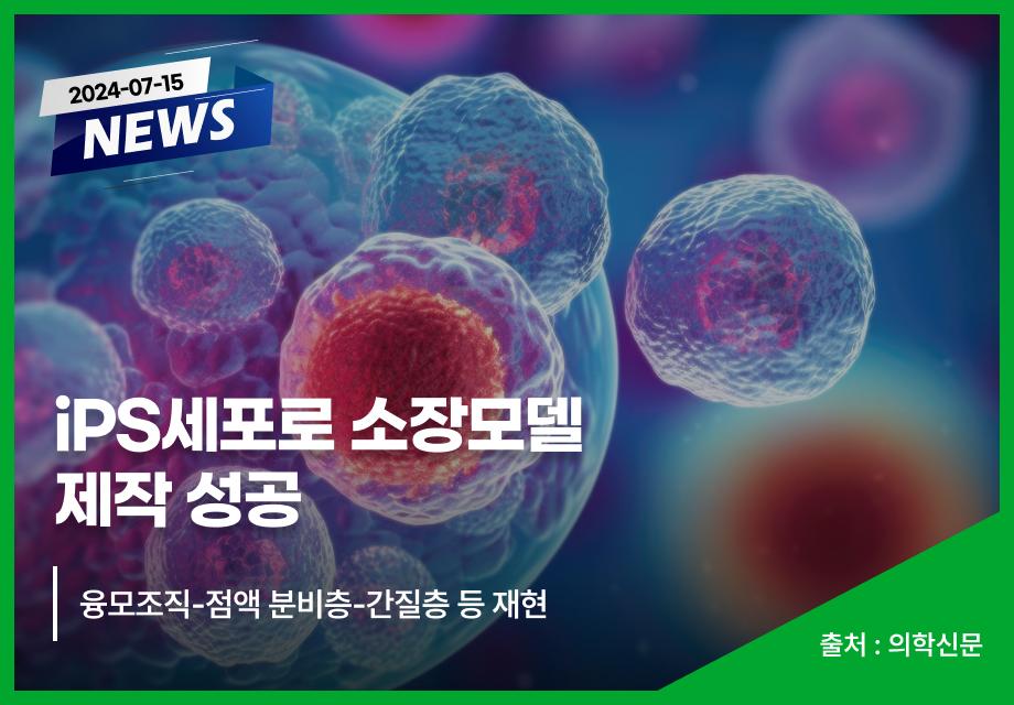 [의학신문] iPS세포로 소장모델 제작 성공 이미지