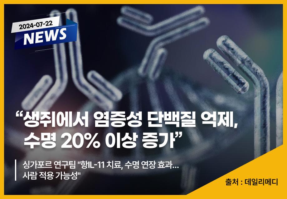 [데일리메디] "생쥐에서 염증성 단백질 억제, 수명 20% 이상 증가" 이미지