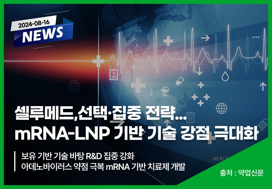 [약업신문] 셀루메드,선택·집중 전략...mRNA-LNP 기반 기술 강점 극대화 이미지