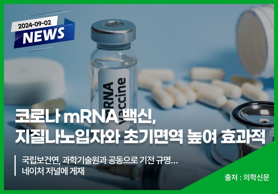 [의학신문] 코로나 mRNA 백신, 지질나노입자와 초기면역 높여 효과적 이미지