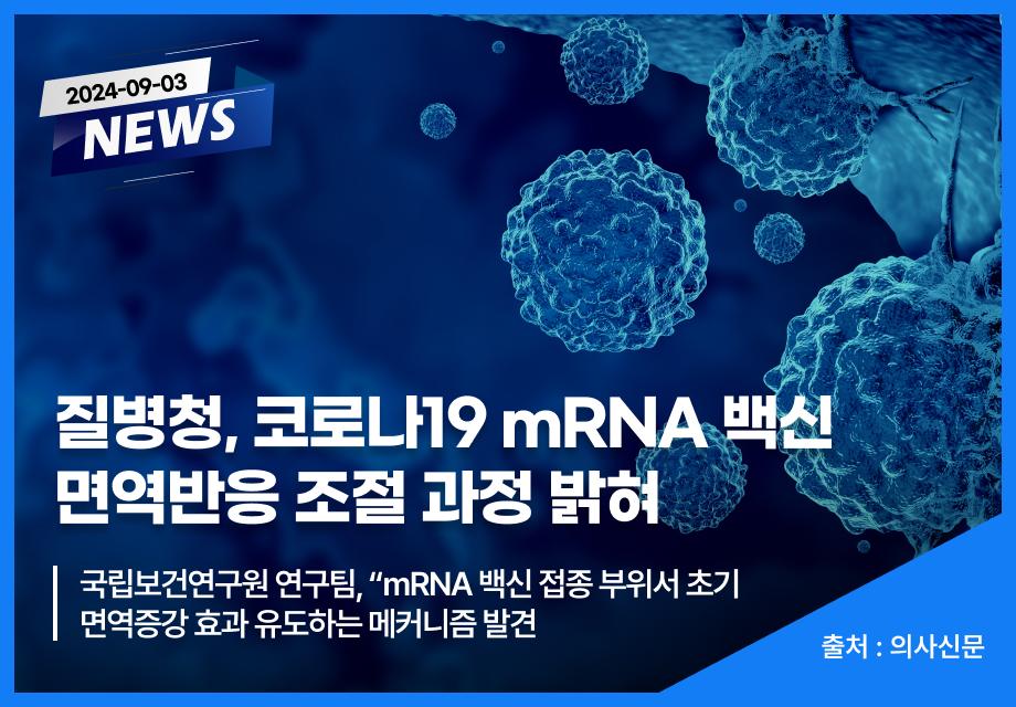 [의사신문] 질병청, 코로나19 mRNA 백신 면역반응 조절 과정 밝혀 이미지