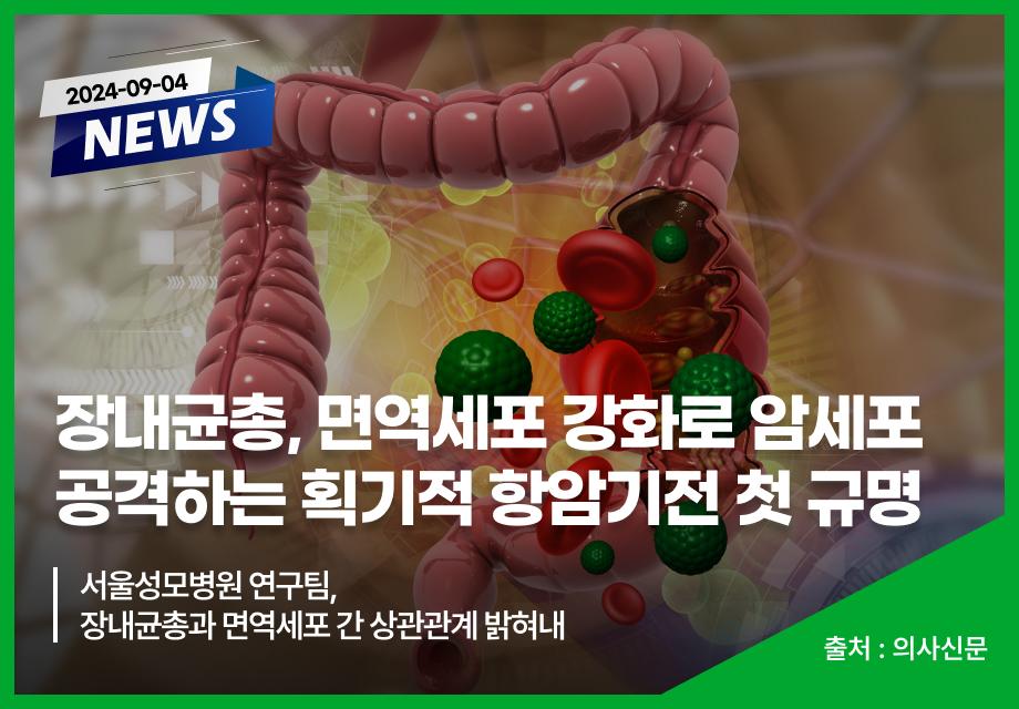 [의사신문] 장내균총, 면역세포 강화로 암세포 공격하는 획기적 항암기전 첫 규명 이미지