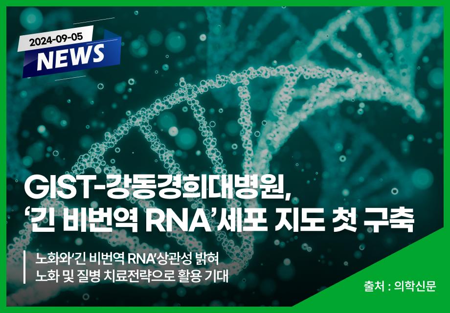 [의학신문] GIST-강동경희대병원, ‘긴 비번역 RNA’세포 지도 첫 구축 이미지